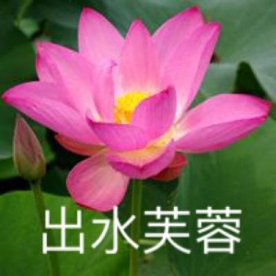 江西横峰县宣传车循环播放“抵制高彩礼”，当地回应系倡导文明新风活动